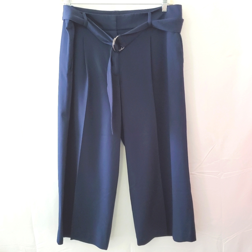 Ann Taylor Factory Cropped Wide Leg Pants Size 16 Belted Blue Hi-Rise Office